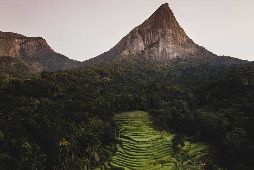 Sri Lanka Airport pick-up and Taxi Service